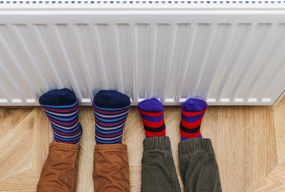 Chauffage performant pompe à chaleur ou chaudiére au bois ? Chauffage performant pompe à chaleur ou chaudiére au bois ?